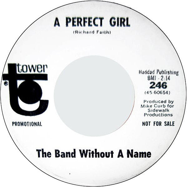 The Band Without A Name : Turn On Your Lovelight / A Perfect Girl (7", Promo)