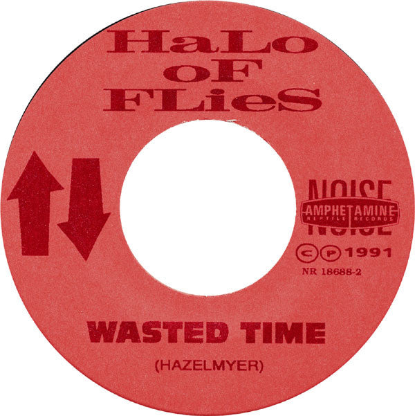 Halo Of Flies : Big Mod Hate Trip (7")