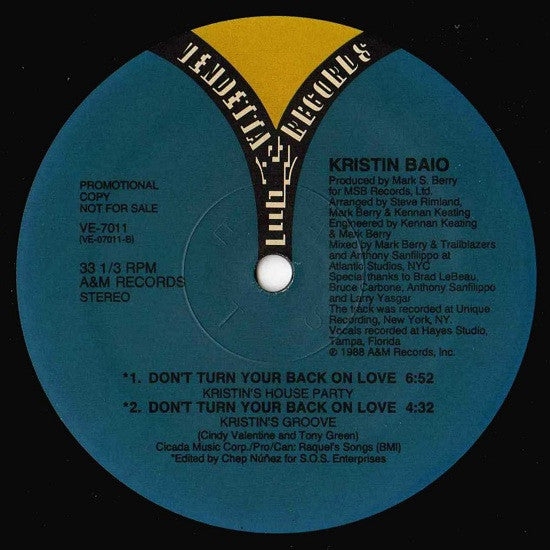 Kristin Baio : Don't Turn Your Back On Love (12", Promo)