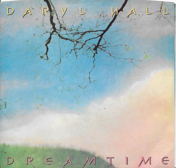 Daryl Hall : Dreamtime (7", Styrene, Ind)