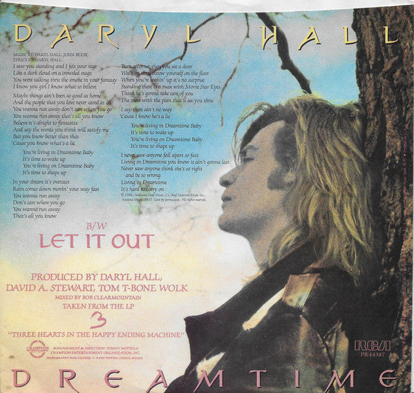 Daryl Hall : Dreamtime (7", Styrene, Ind)