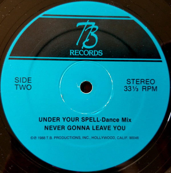 Terry Bruner : Under Your Spell / Never Gonna Leave You (12", Single)