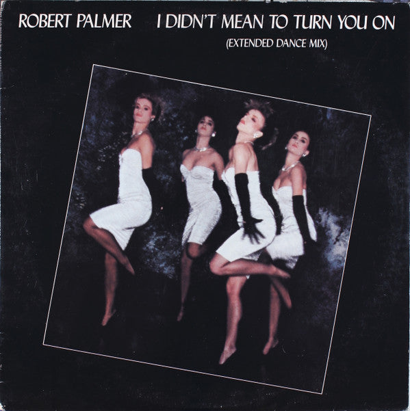 Robert Palmer : I Didn't Mean To Turn You On (Extended Dance Mix) (12", AR )