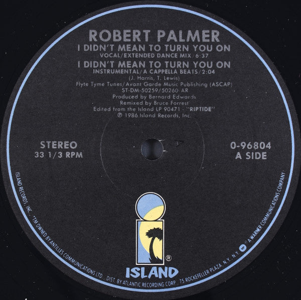 Robert Palmer : I Didn't Mean To Turn You On (Extended Dance Mix) (12", AR )