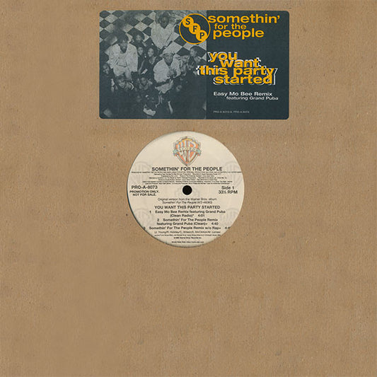 Somethin' For The People : You Want This Party Started (12", Promo)