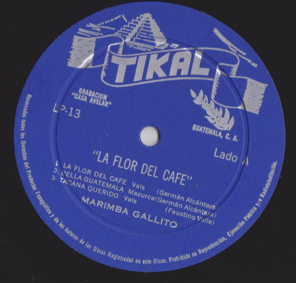 Marimba Orquesta Gallito : La Flor Del Café (LP, Album)