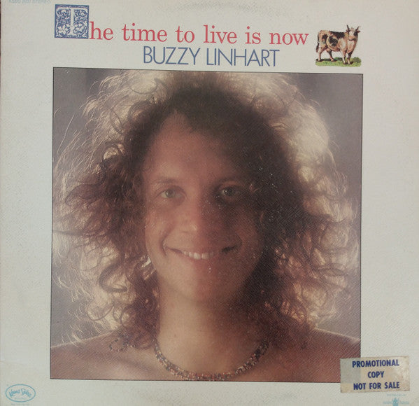 Buzzy Linhart : The Time To Live Is Now (LP)