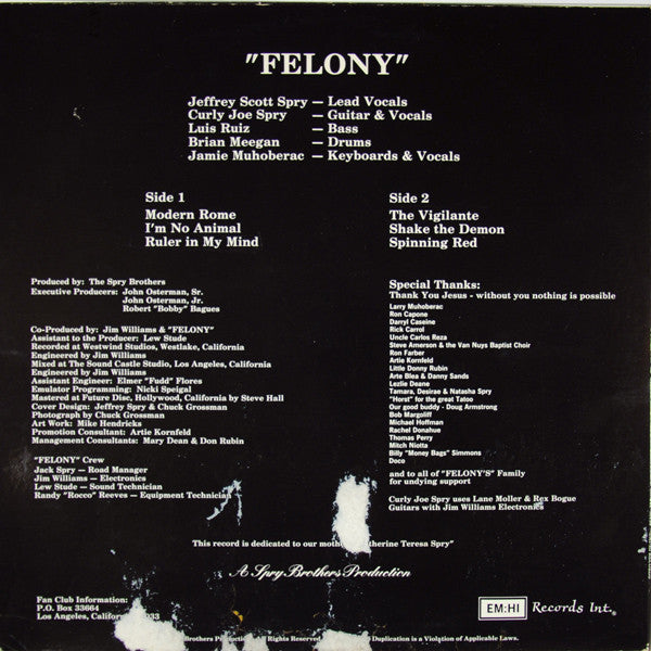 Felony (4) : The Vigilante (LP)