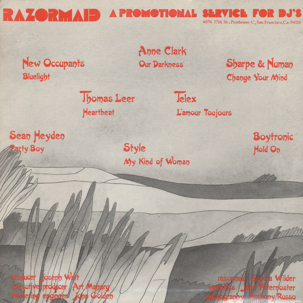 Various : Razormaid Chapter Seven: The Record Pool (2x12")