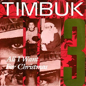 Timbuk 3 : All I Want For Christmas  (7", Promo)