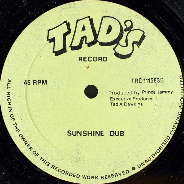 Mighty Rudo : You Are My Sunshine (12")