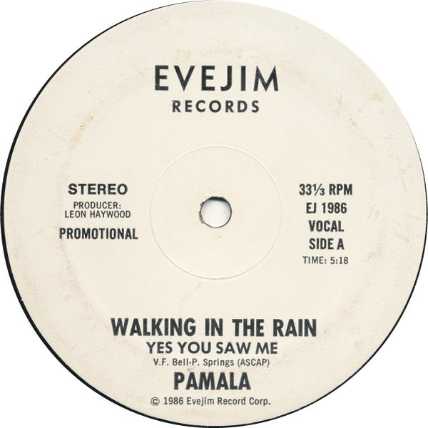 Pamala : Walking In The Rain (Yes You Saw Me) (12", Promo)