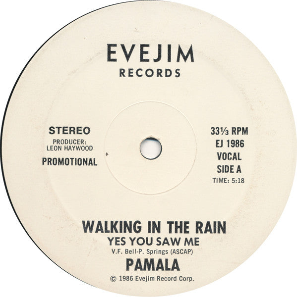 Pamala : Walking In The Rain (Yes You Saw Me) (12", Promo)